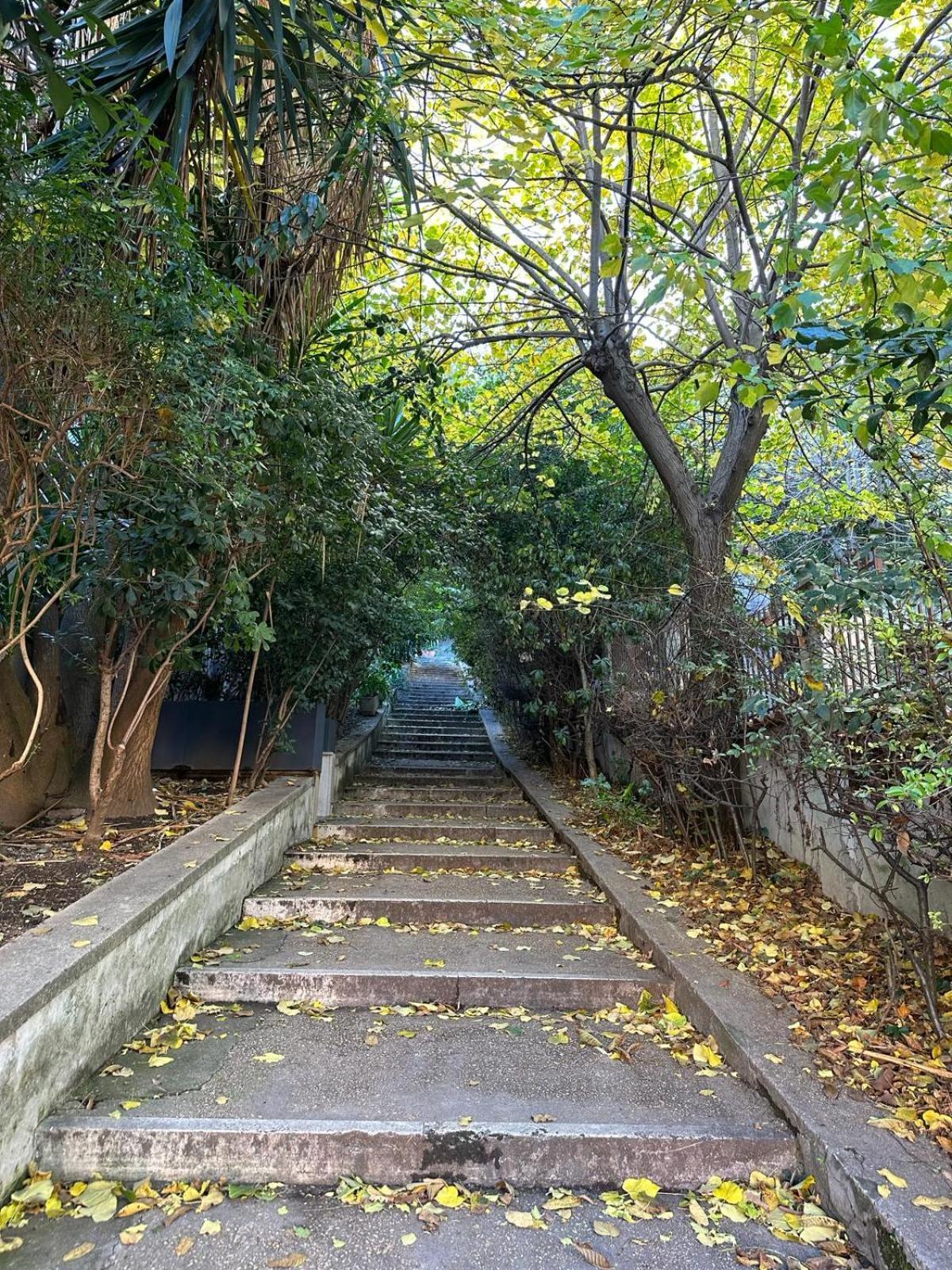 The Vatican Jungle Loft Con Giardino Vicino Al Vaticano Apartment *