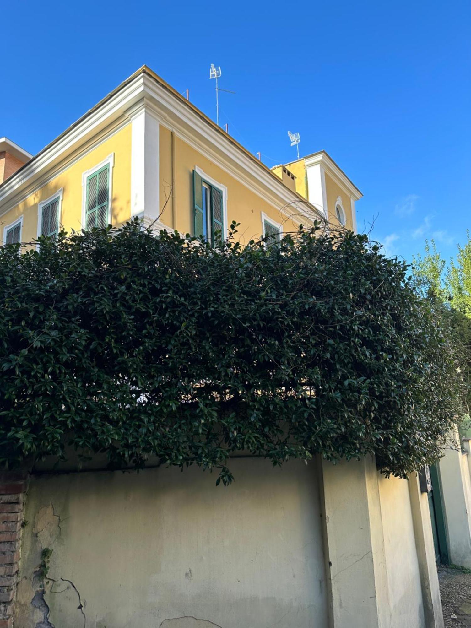 Apartment The Vatican Jungle Loft Con Giardino Vicino Al Vaticano Rom