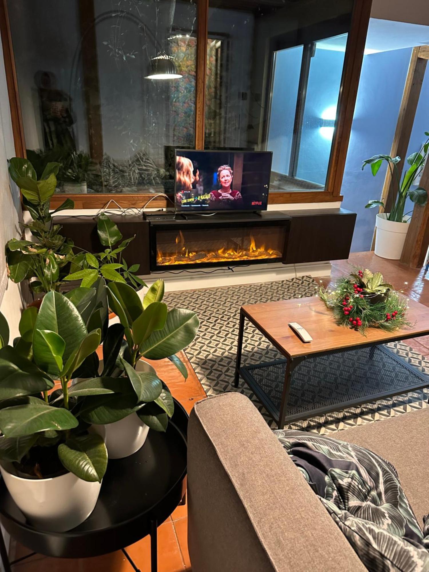 The Vatican Jungle Loft Con Giardino Vicino Al Vaticano * Rom