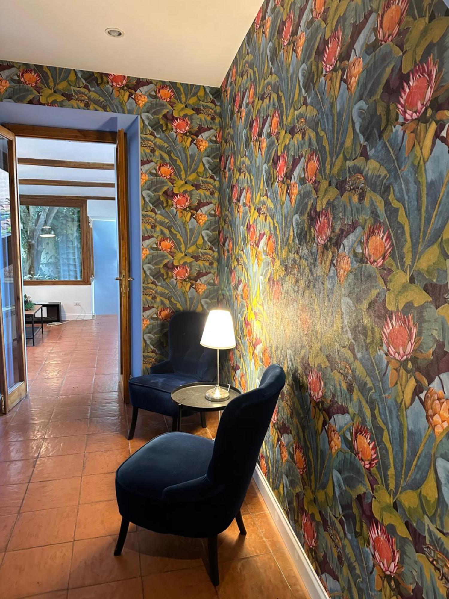 Apartment The Vatican Jungle Loft Con Giardino Vicino Al Vaticano *